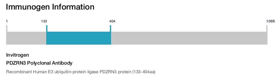 PDZRN3 Polyclonal Antibody