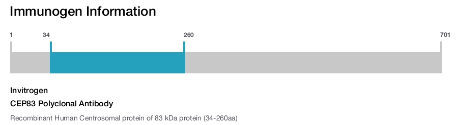 CEP83 Polyclonal Antibody