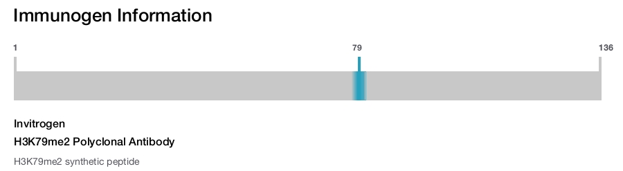 H3K79me2 Polyclonal Antibody