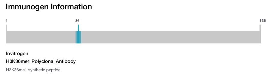 H3K36me1 Polyclonal Antibody