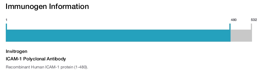 ICAM-1 Polyclonal Antibody