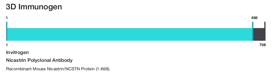 Nicastrin Polyclonal Antibody