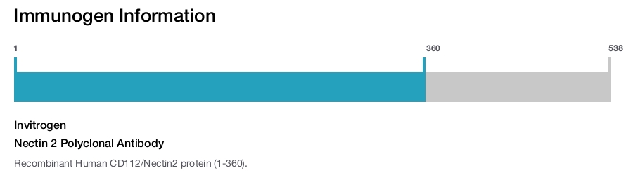 Nectin 2 Polyclonal Antibody