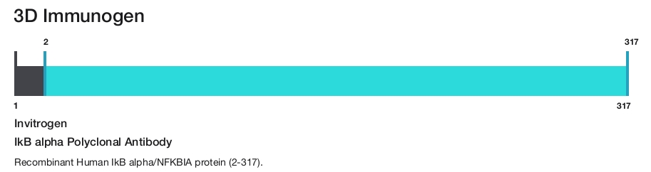IkB alpha Polyclonal Antibody