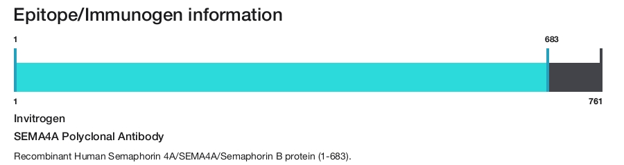 SEMA4A Polyclonal Antibody