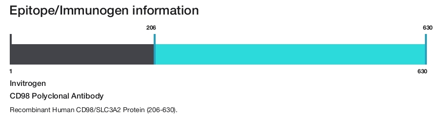 CD98 Polyclonal Antibody