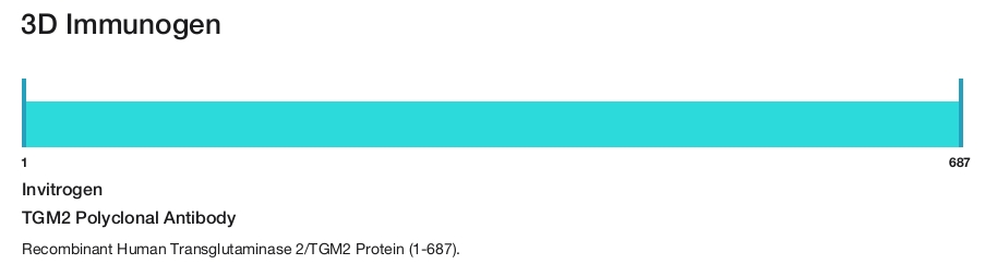 TGM2 Polyclonal Antibody