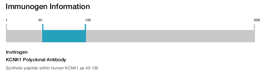 KCNK1 Polyclonal Antibody
