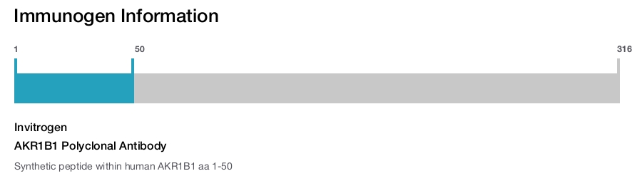 AKR1B1 Polyclonal Antibody