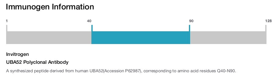 UBA52 Polyclonal Antibody