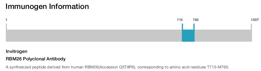 RBM26 Polyclonal Antibody