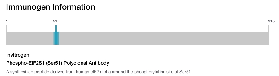 Phospho-EIF2S1 (Ser51) Polyclonal Antibody