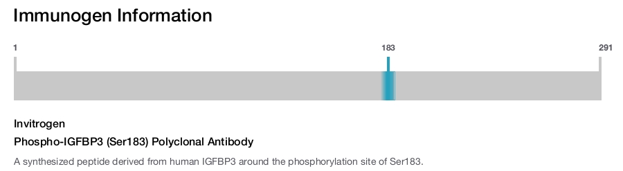 Phospho-IGFBP3 (Ser183) Polyclonal Antibody