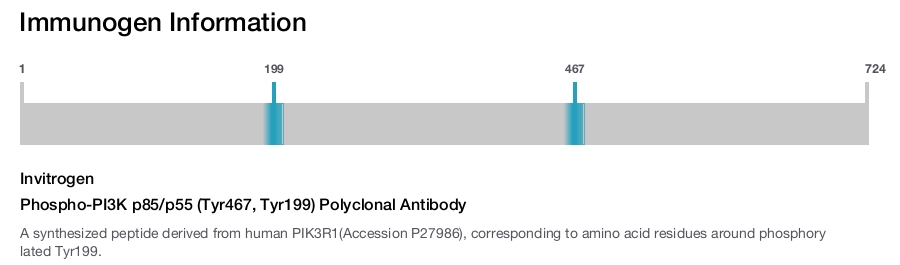 Phospho-PI3K p85/p55 (Tyr467, Tyr199) Polyclonal Antibody