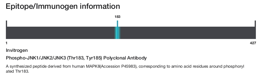 Phospho-JNK1/JNK2/JNK3 (Thr183, Tyr185) Polyclonal Antibody