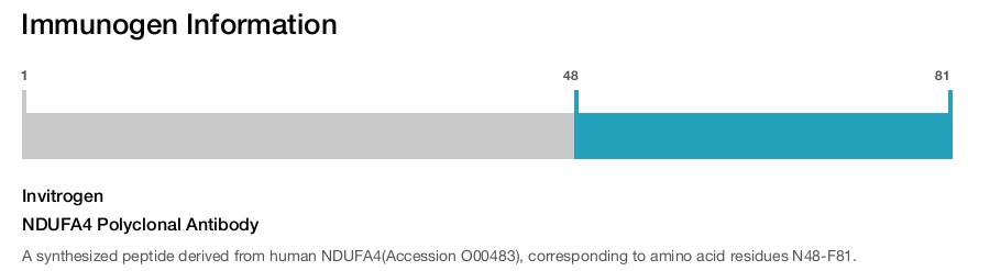 NDUFA4 Polyclonal Antibody