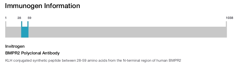 BMPR2 Polyclonal Antibody