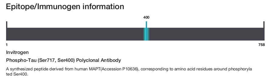 Phospho-Tau (Ser717, Ser400) Polyclonal Antibody