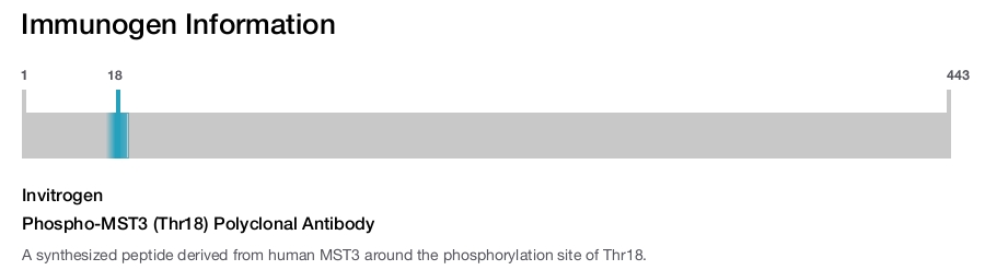 Phospho-MST3 (Thr18) Polyclonal Antibody