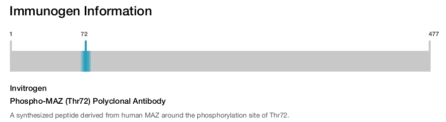 Phospho-MAZ (Thr72) Polyclonal Antibody