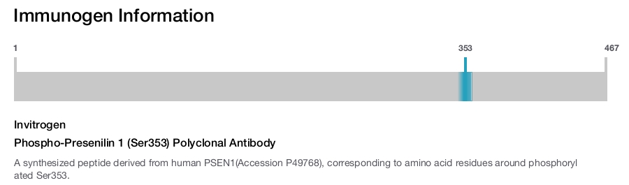 Phospho-Presenilin 1 (Ser353) Polyclonal Antibody