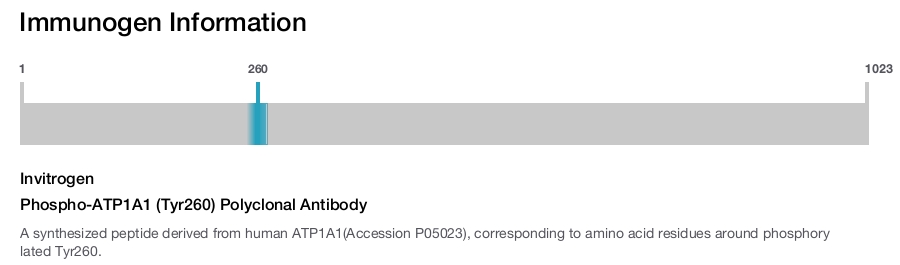 Phospho-ATP1A1 (Tyr260) Polyclonal Antibody
