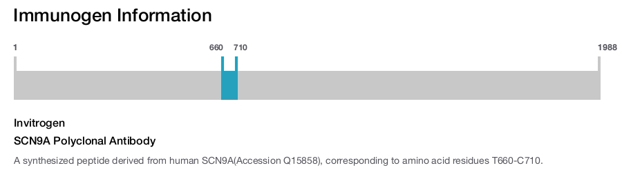SCN9A Polyclonal Antibody