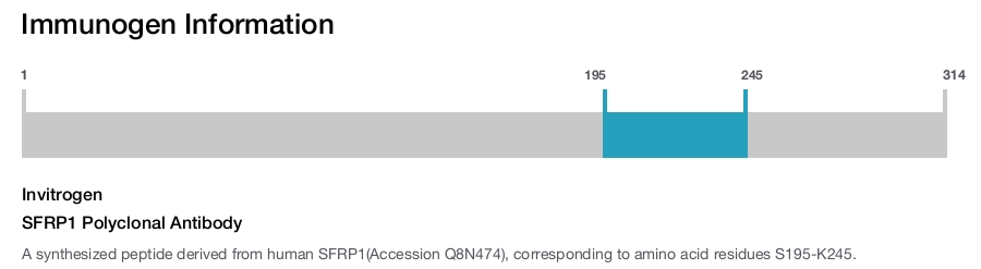 SFRP1 Polyclonal Antibody