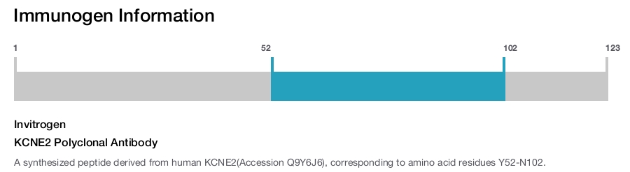 KCNE2 Polyclonal Antibody
