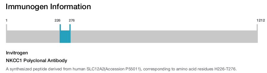 NKCC1 Polyclonal Antibody