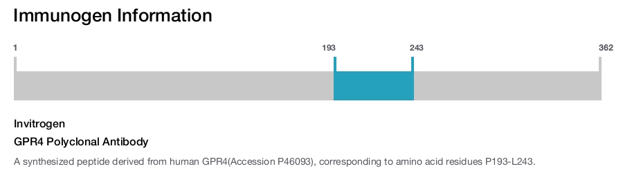 GPR4 Polyclonal Antibody