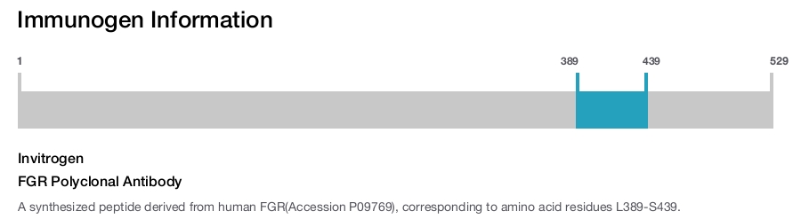 FGR Polyclonal Antibody