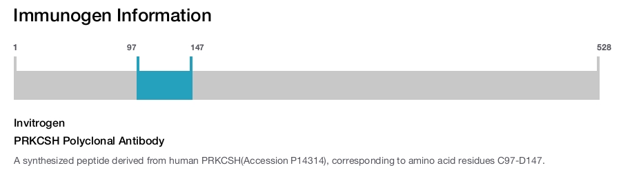 PRKCSH Polyclonal Antibody