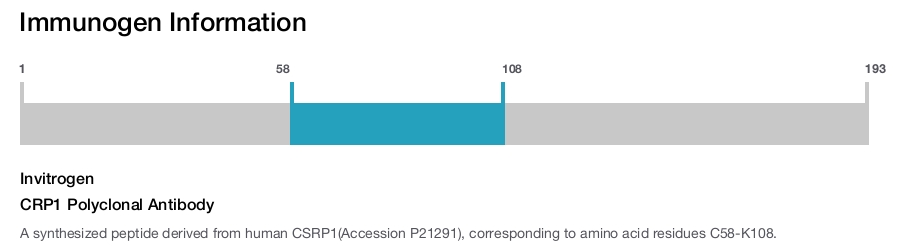 CRP1 Polyclonal Antibody