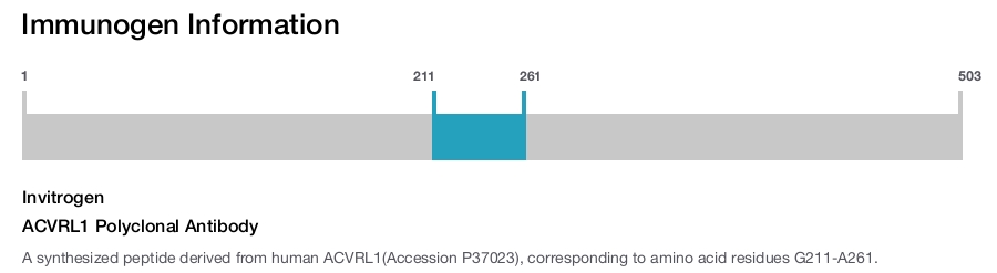 ACVRL1 Polyclonal Antibody