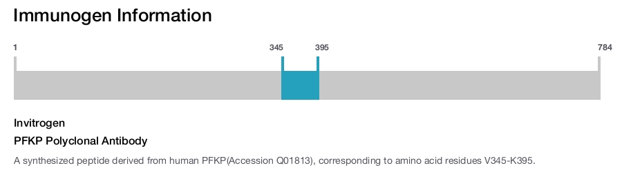 PFKP Polyclonal Antibody
