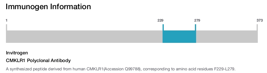 CMKLR1 Polyclonal Antibody
