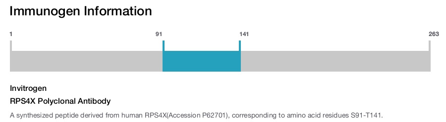 RPS4X Polyclonal Antibody