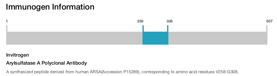Arylsulfatase A Polyclonal Antibody