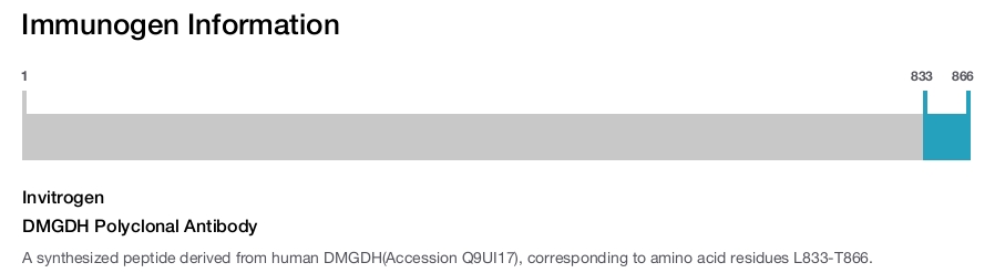 DMGDH Polyclonal Antibody