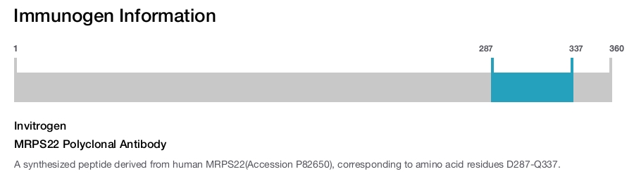 MRPS22 Polyclonal Antibody