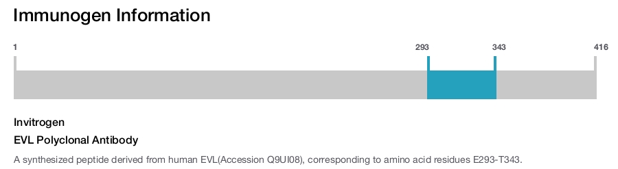 EVL Polyclonal Antibody