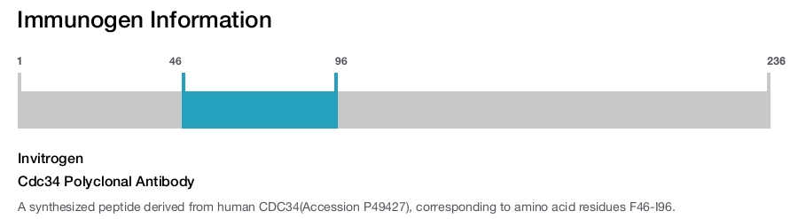 Cdc34 Polyclonal Antibody