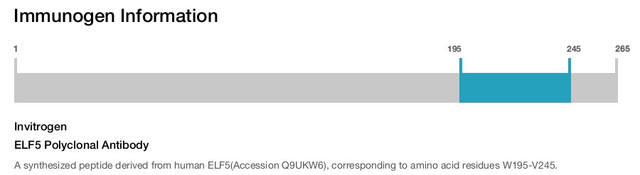ELF5 Polyclonal Antibody
