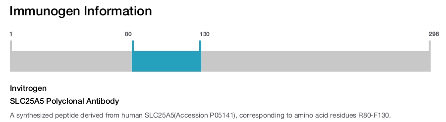 SLC25A5 Polyclonal Antibody