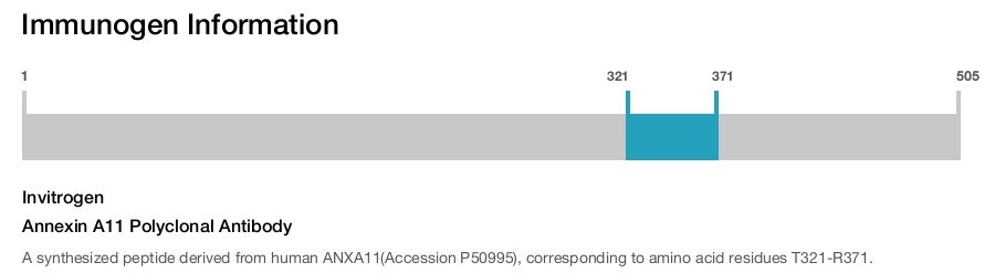 Annexin A11 Polyclonal Antibody