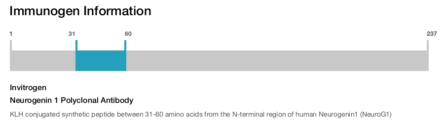 Neurogenin 1 Polyclonal Antibody