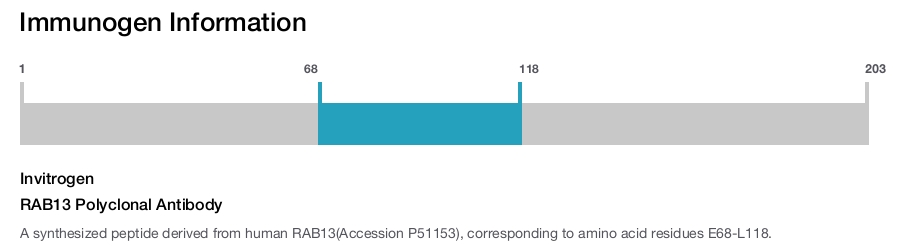 RAB13 Polyclonal Antibody