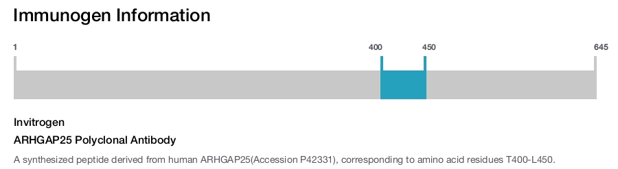 ARHGAP25 Polyclonal Antibody