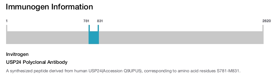 USP24 Polyclonal Antibody